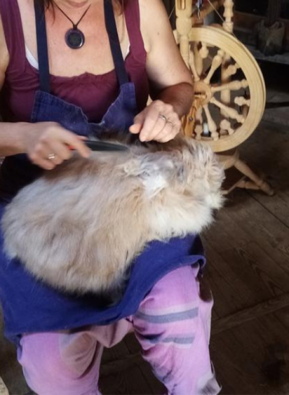 La ferme des 2 yourtes