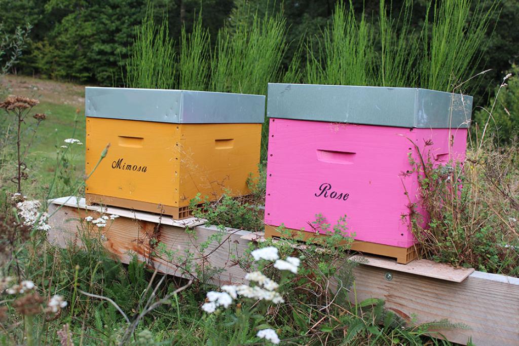 Miel La Prairie d'Abelia