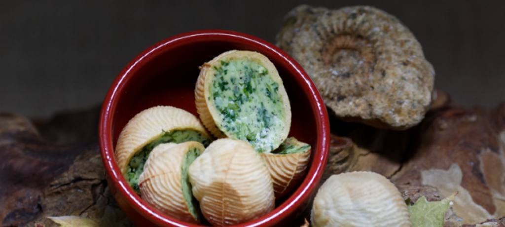 Les Escargots des Plaines