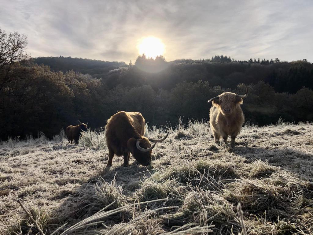 La Ferme de Ventadour
