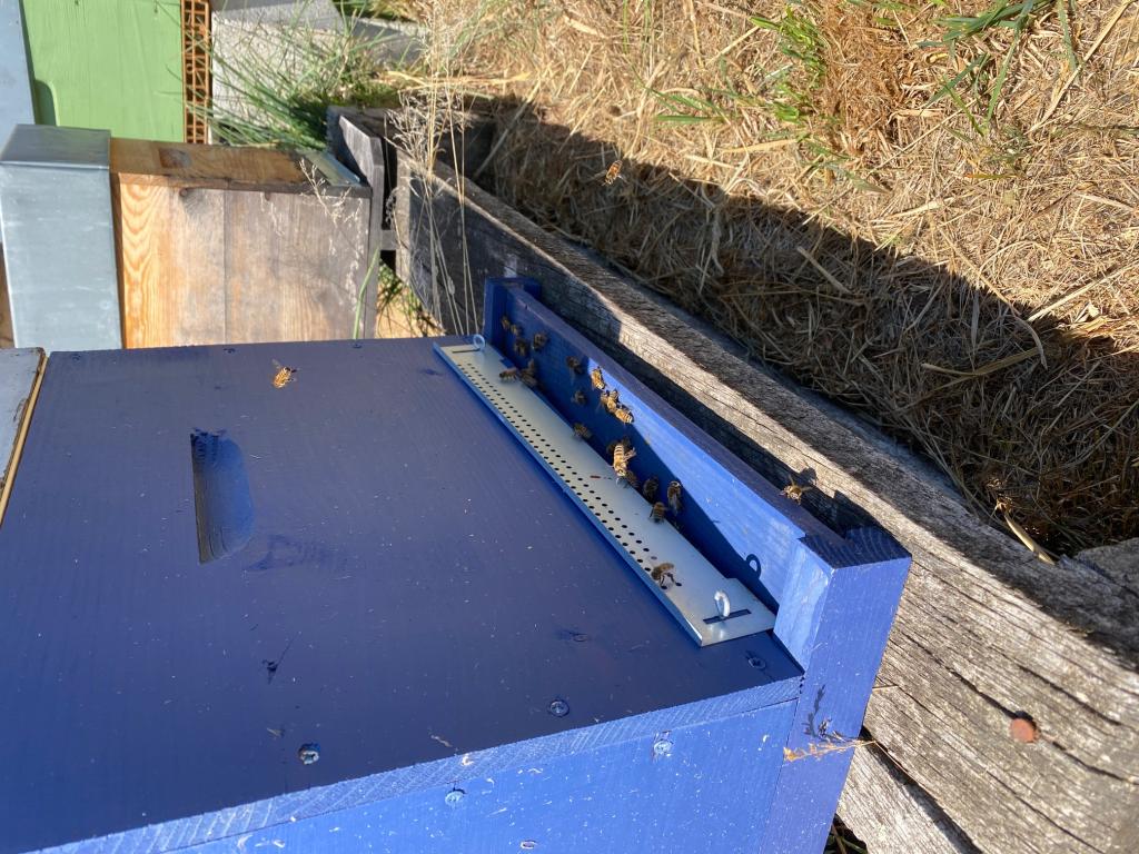 Les Joyeuses Butineuses de Chamboulive