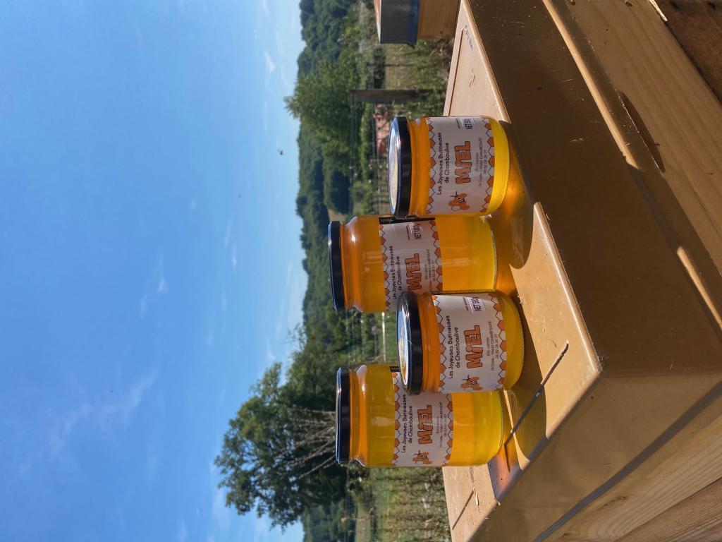 Les Joyeuses Butineuses de Chamboulive