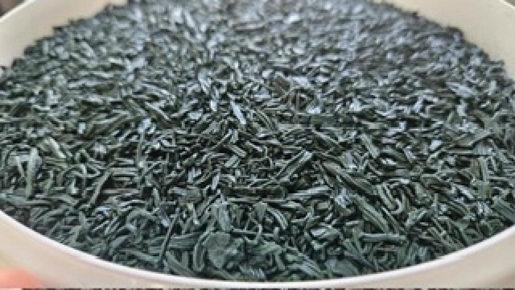 Spiruline de Raulhac