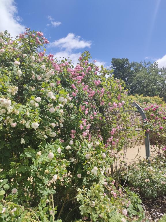 Fête des mères aux Jardins Sothys