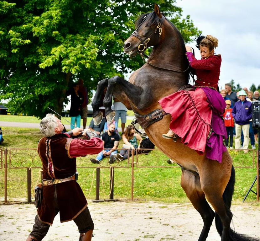 Les jeudis festifs - théâtre équestre à Liourdres