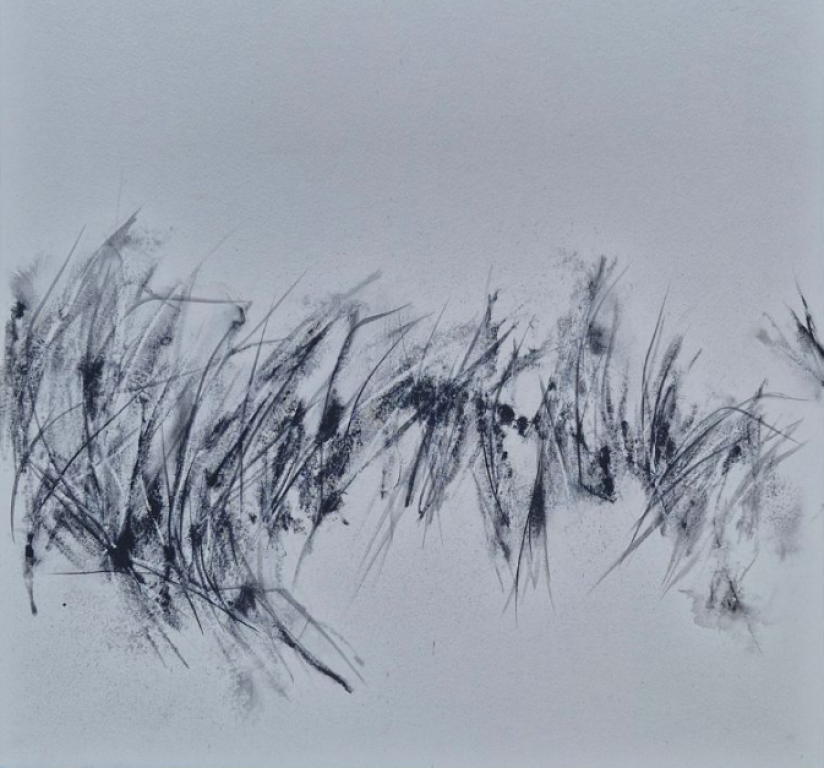 Exposition "Simplement Sauvage" de Patricia Fayat