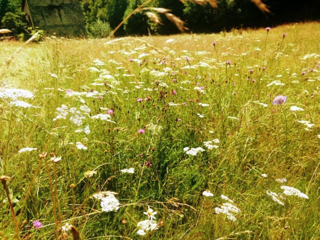 Balade-découverte aux Tours de Carbonnières