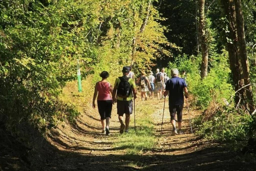Promenade gourmande à Beynat - 13ème édition