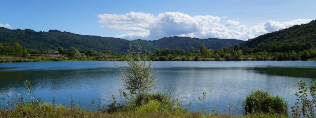 La nature la nuit, réserve départementale de biodiversité d'Argentat