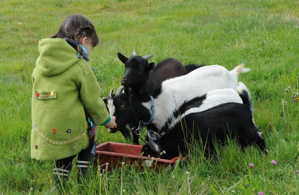 Visite de le Ferme de Brossard avec repas