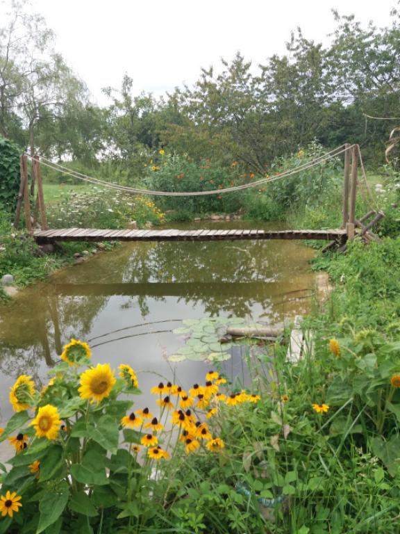 Rendez-Vous aux Jardins - Jardin de Jan à Branceilles