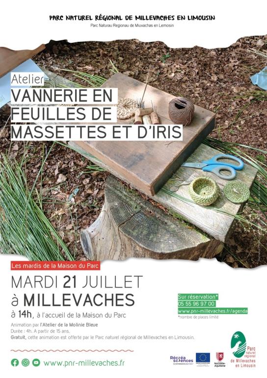 Atelier vannerie en feuilles de massettes et d'iris