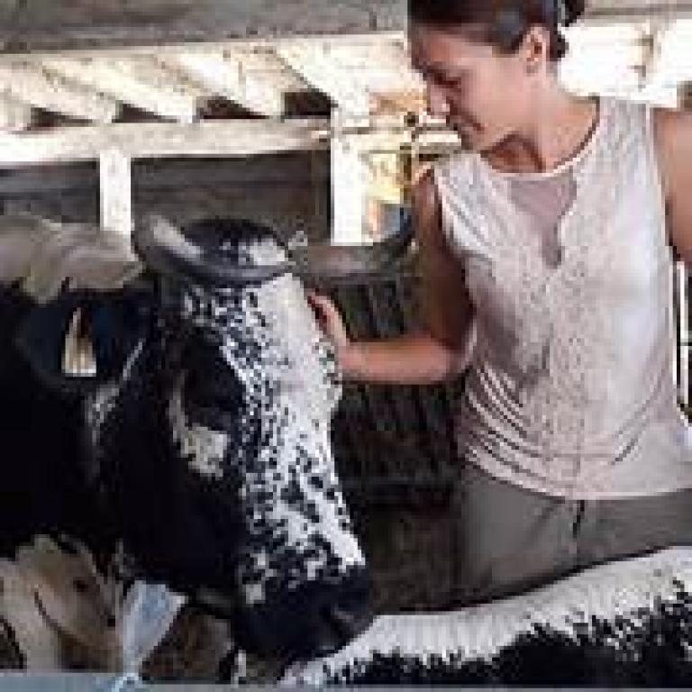Marché de producteur à la ferme de Rosalie