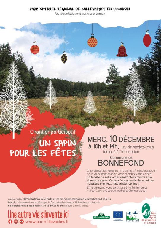 Chantier participatif : un sapin pour les fêtes