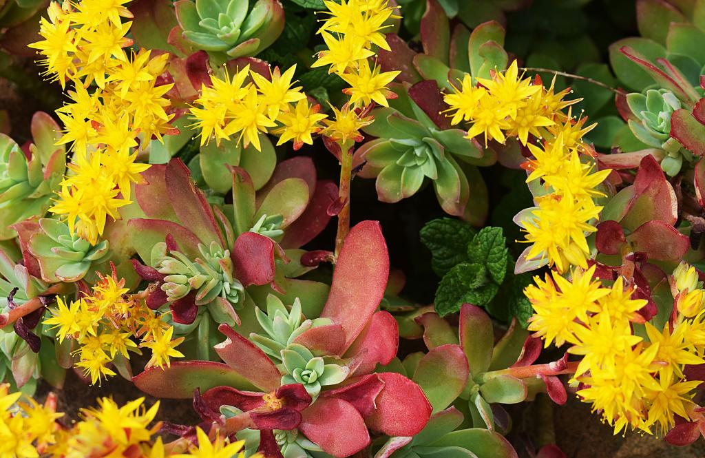 Les Mercredis du Nuage - Naja Bendix