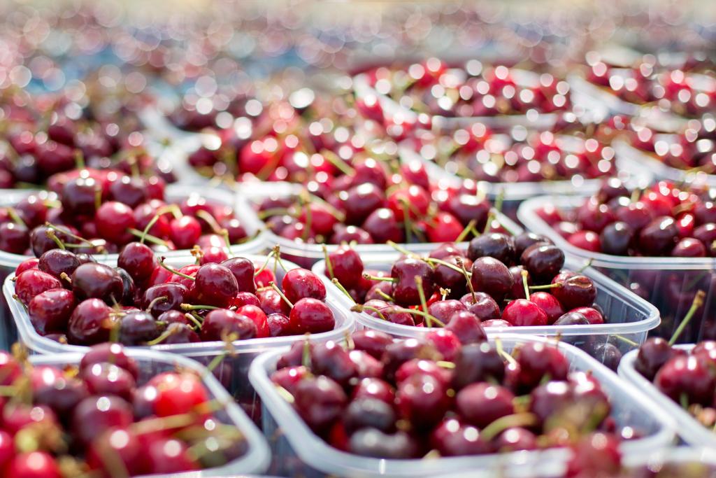 Foire aux cerises à Rilhac-Xaintrie