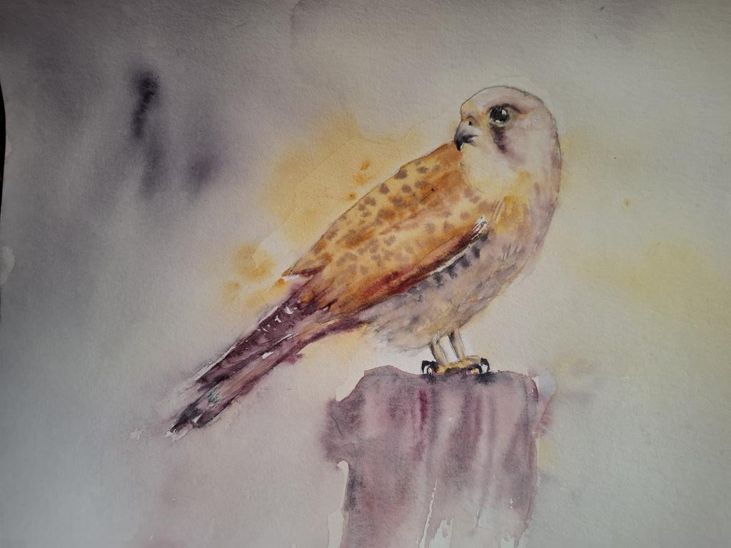 Exposition d'aquarelles de Marie Thérèse Lasserre