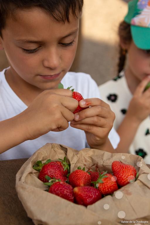 Marché festif à Aubazine