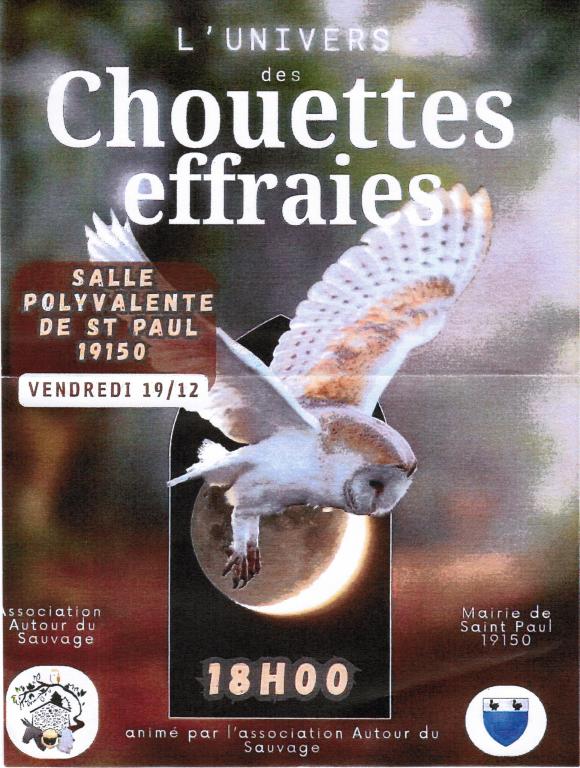 Conférence : L'univers de la chouette effraie