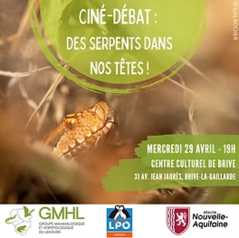 Café-débat: Des serpents dans nos têtes (Centre culturel)