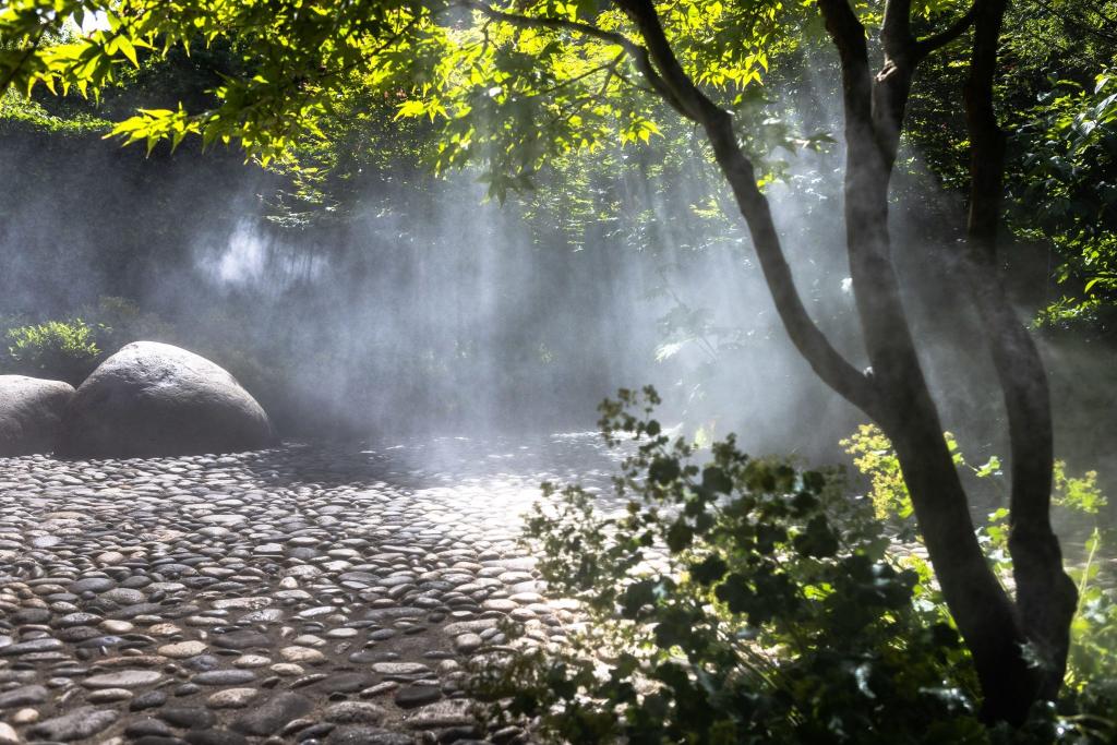 Journées Européennes du Patrimoine aux jardins Sothys