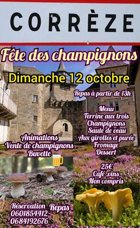 Fête des Champignons