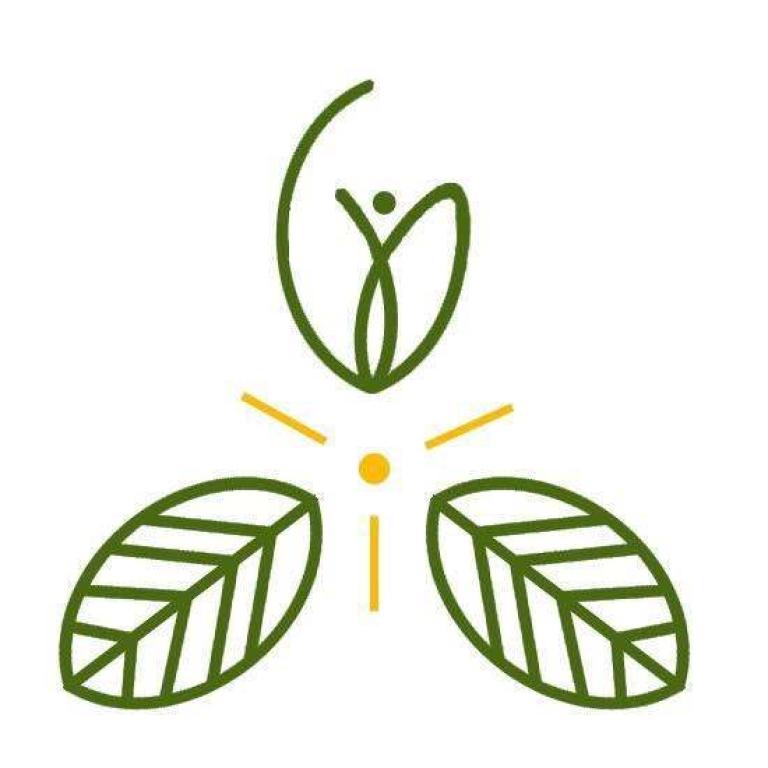 Sortie famille « Insectes et compagnie »