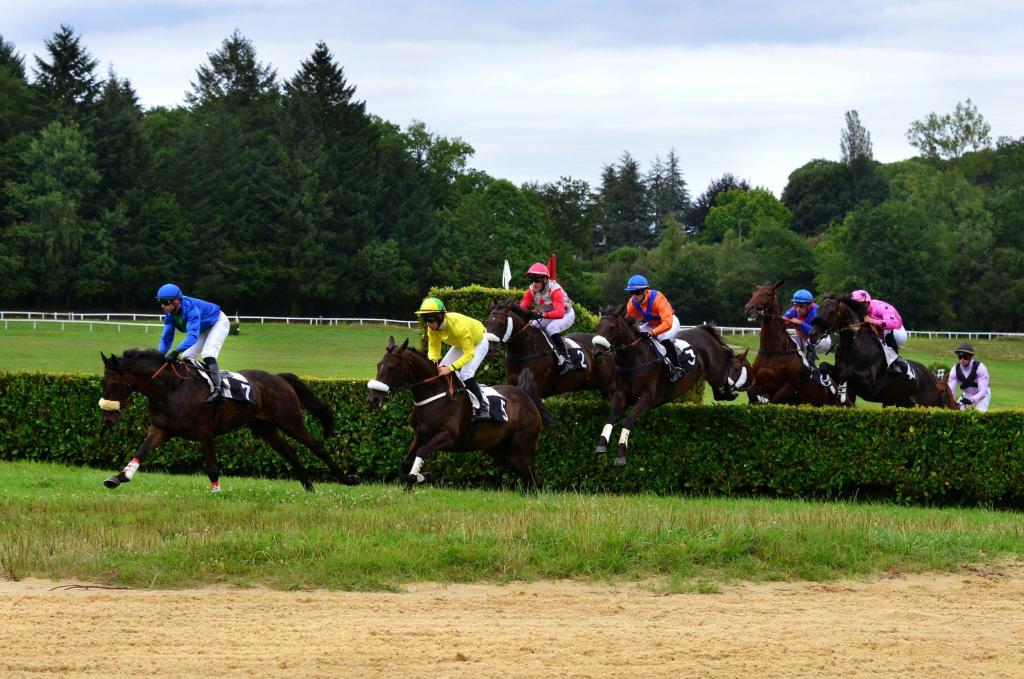 Courses hippiques - Hippodrome en fête