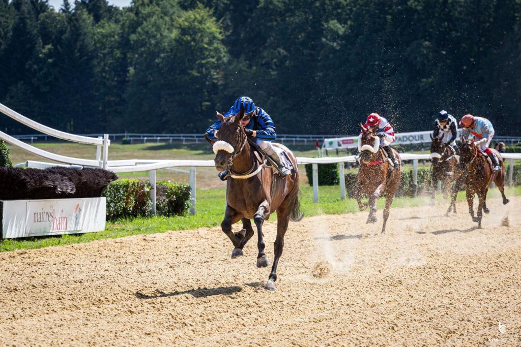 Courses hippiques : journée Race and Care