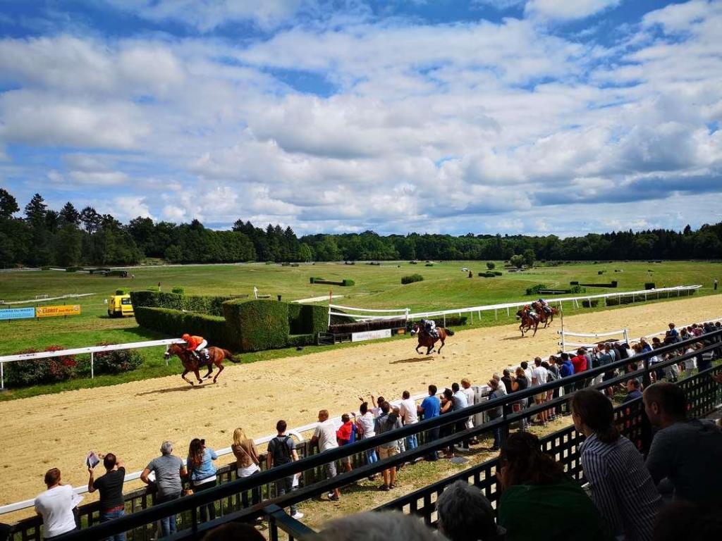 Courses hippiques