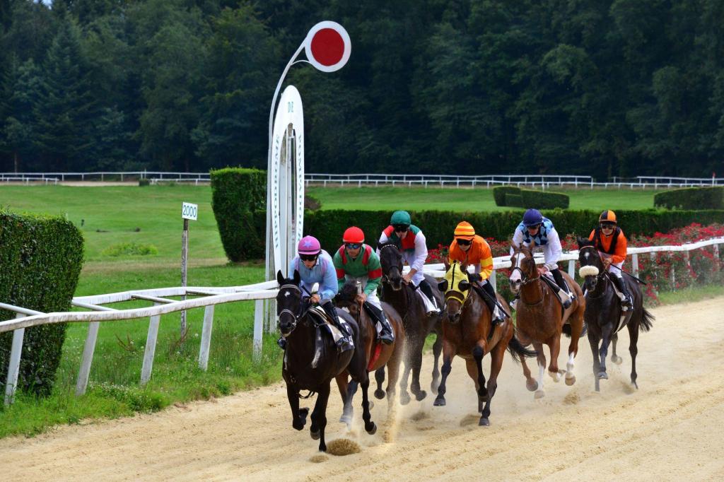 Courses hippiques : tous en blanc