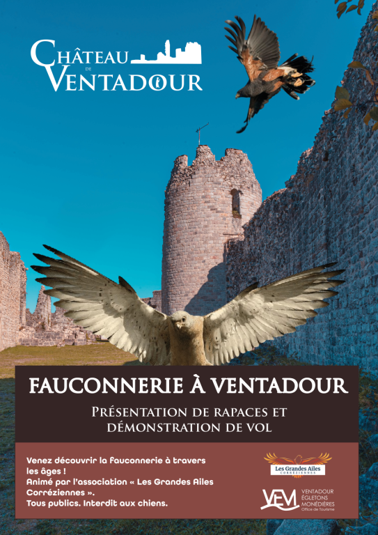 Fauconnerie au Château de Ventadour