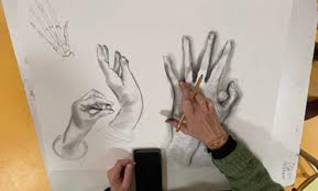 La Cour des Arts : Dessin d'observation