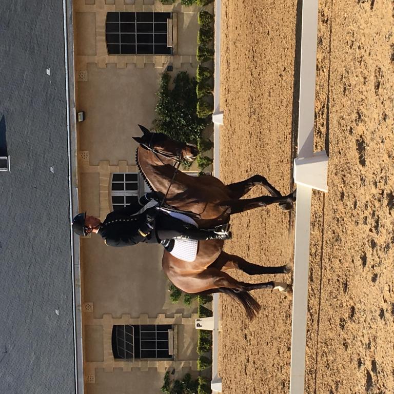 Visite - découverte du Concours Complet d'Equitation
