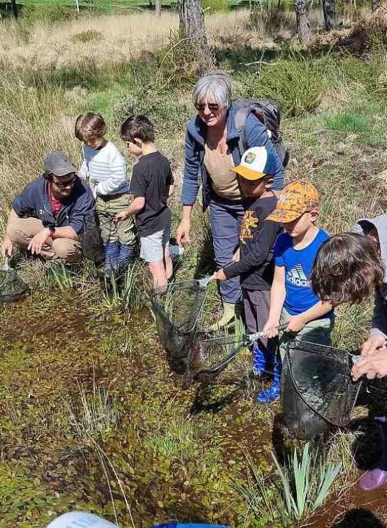 Atelier-découverte : La petite faune des landes et des prairies