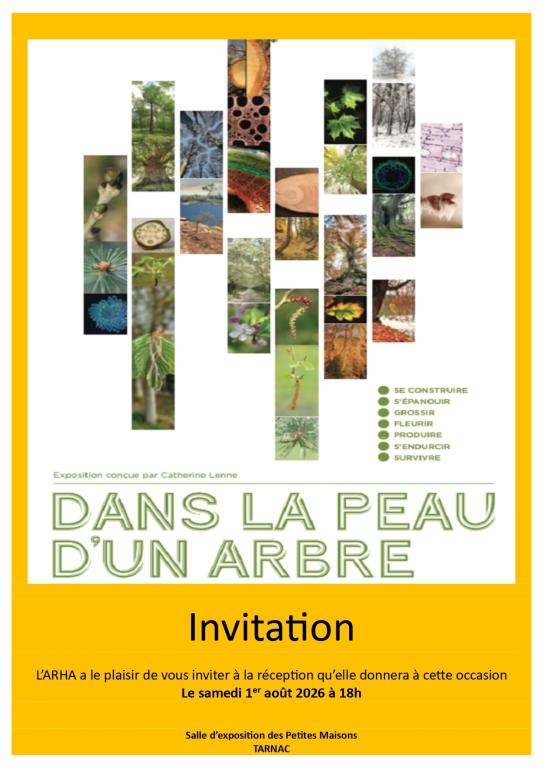 Exposition : Dans la peau d'un arbre