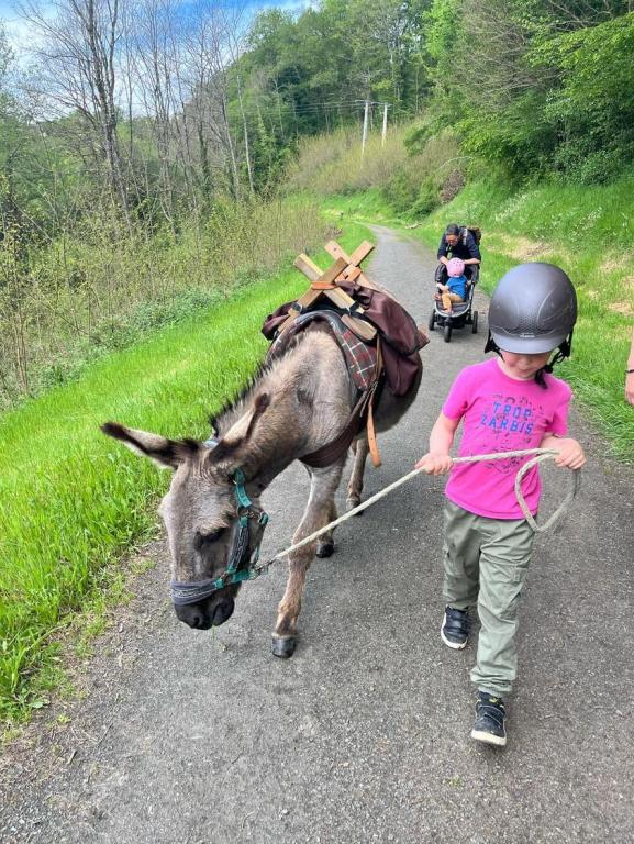 Jeu de piste à la découverte d'Uzerche avec les ânes