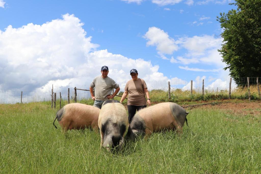 GAEC DE LA VACHE NOIRE - ÉTÉ À LA FERME -
