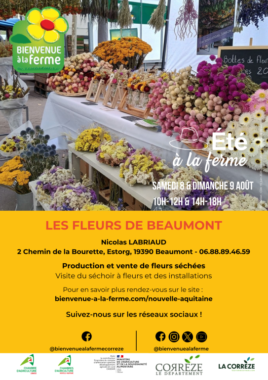 LES FLEURS DE BEAUMONT - ÉTÉ À LA FERME - BAF