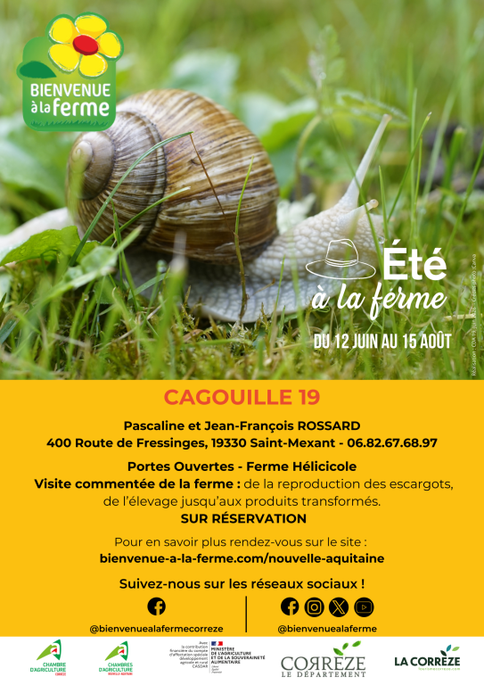 CAGOUILLE19 - ÉTÉ À LA FERME - BAF