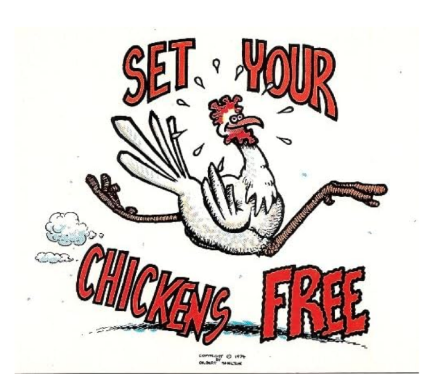 Soirée dance floor avec DJ Poulet