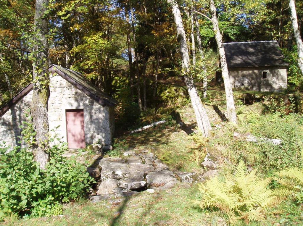 Balade et repas d'Automne