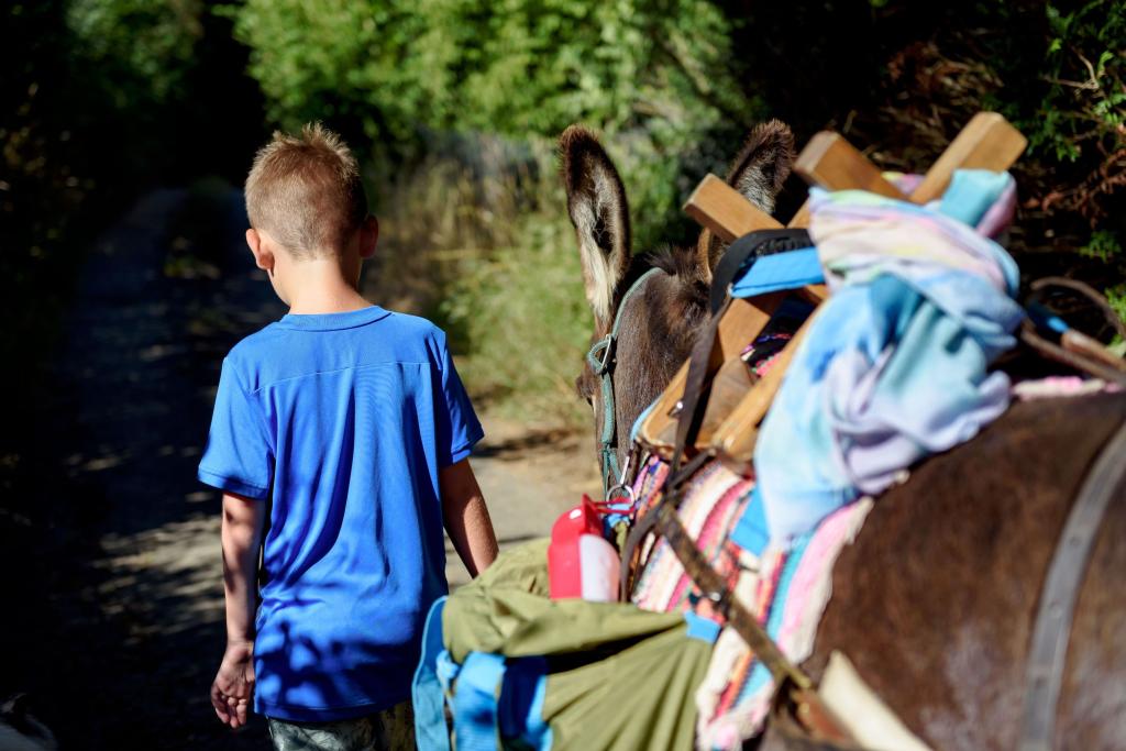 Randonnée pique-nique en groupe avec les Ânes Voyageurs