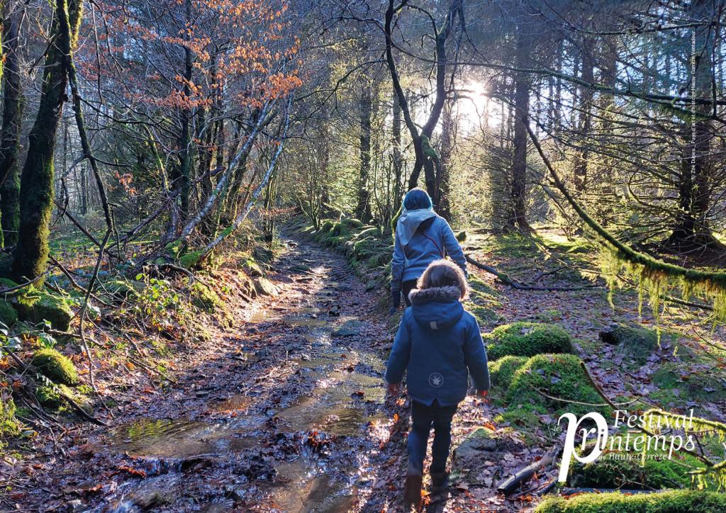 Balade artistique D'une cabane à l'autre