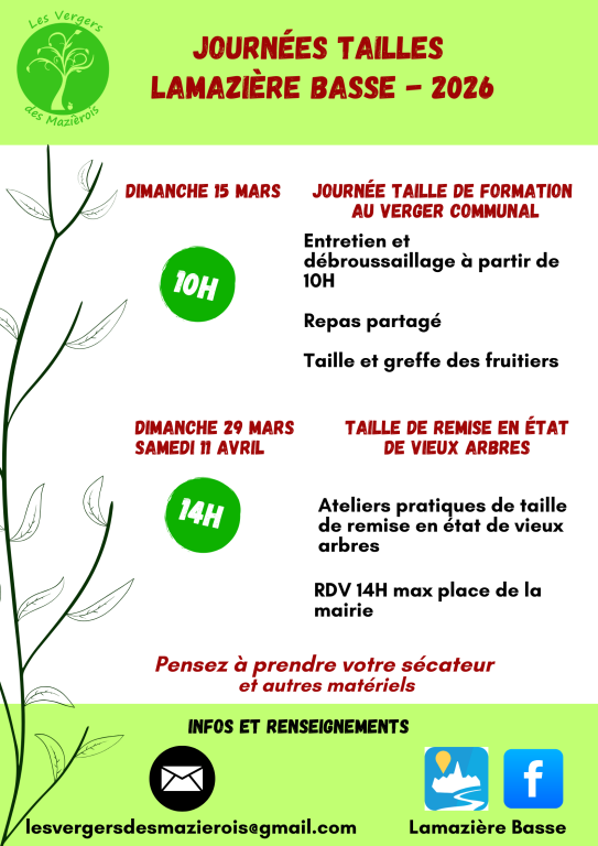 Journée taille de vieux arbres