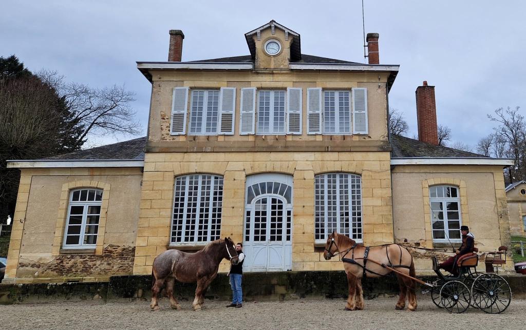 Festival du Cheval de Trait