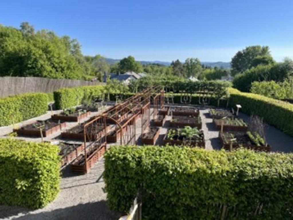 Visite guidée du jardin