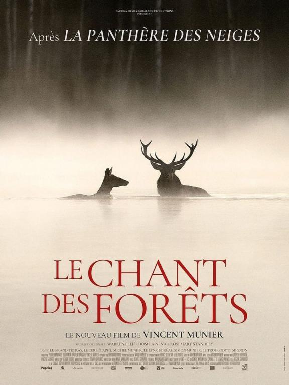 Cinéma à  Bugeat : Le chant des forêts