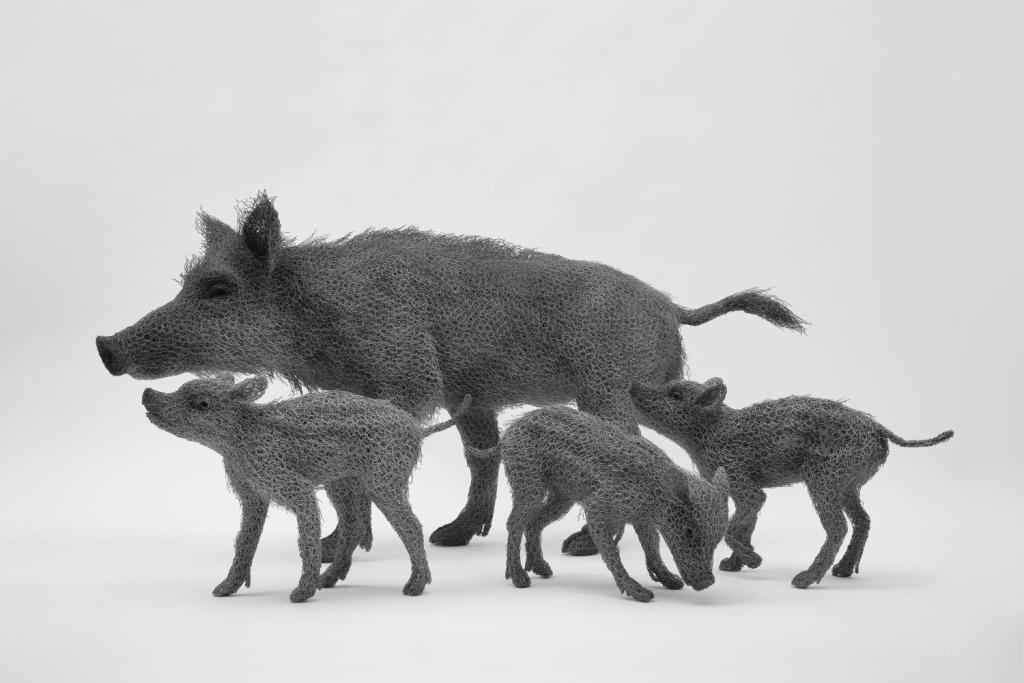 Domaine de Sédières : Exposition : Nature