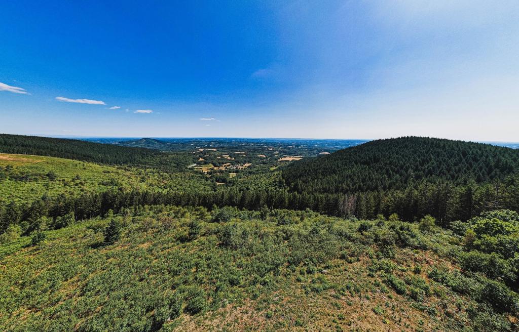 A la recherche du rapace avec la LPO